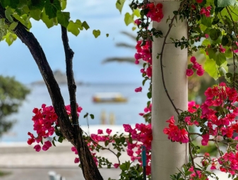 Gruda apartmanok, Petrovac