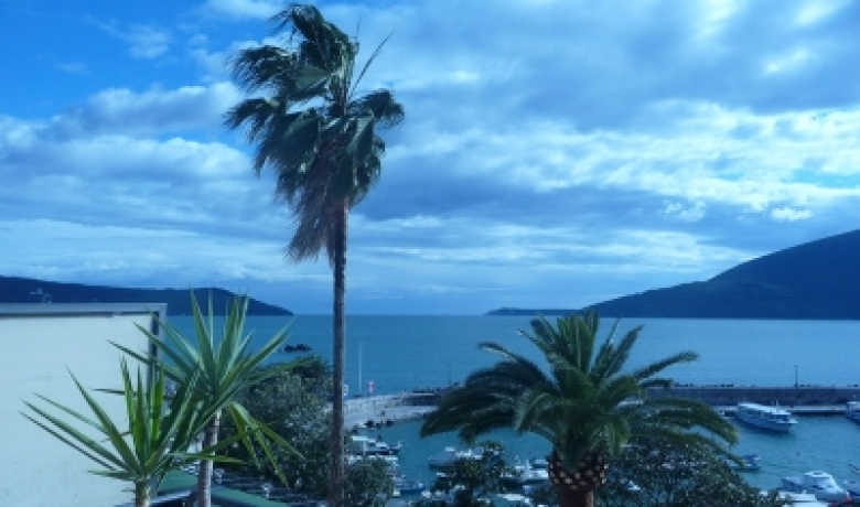 Porto Apartments, Herceg Novi, Apartmani