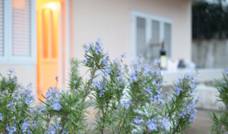 Apartman S&M, Tivat, Apartmani