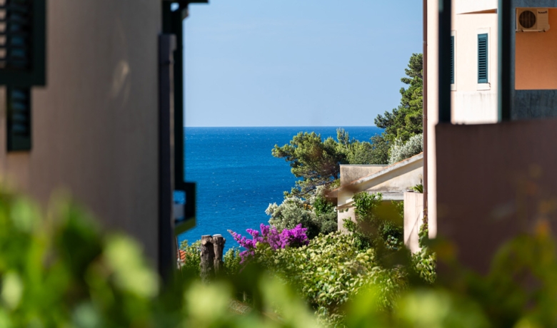 Apartmani HOLIDAY 2, Petrovac, Apartamenty