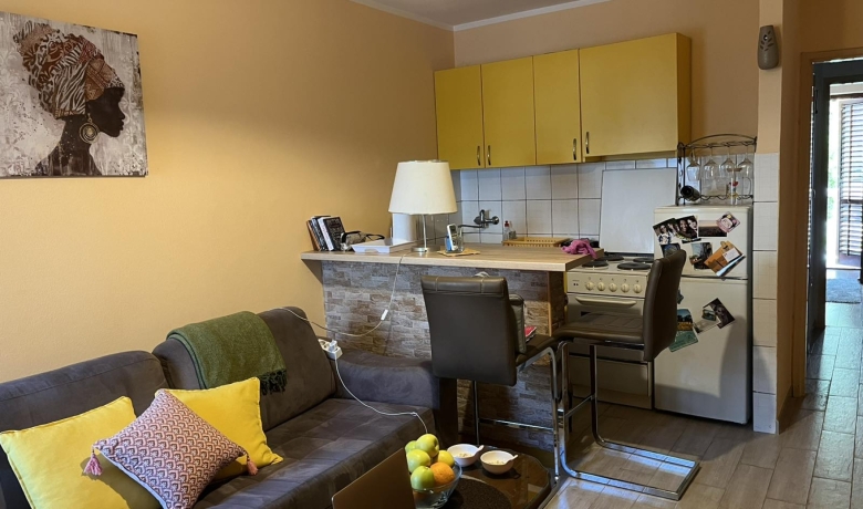 Jednosoban stan Davor, Будва, Apartments