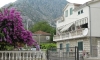 Apartments RADOJKOVIC, Kotor, Apartments