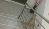 Apartmány CECA, Djenovici, Apartmany