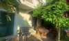 Apartmány VELLA, Kumbor, Apartmany