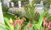Apartmani Vedrana, Sutomore, Apartmani