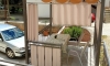 Charmy Studio Lux, Igalo, Apartmany