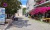 Apartamente verkver, Herceg Novi, Apartamente