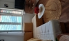 Apartman M&T uz more, Kotor, Apartmani