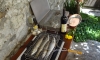 Apartman Pinebreeze  , Prčanj, Apartmani