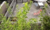 Apartmány MARKOVIĆ, Sutomore, Apartmany
