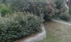 Apartman Dragan, Petrovac, Apartmani