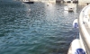 Apartmani Vucinovic, Tivat, Apartmani