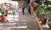 Apartmani Vucinovic, Tivat, Apartmani