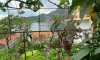 Apartmani Vucinovic, Tivat, Apartmani