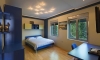 Raymond Apartments, Sveti Stefan, Apartmani