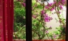 Apartmani Almaja, Petrovac, Apartmani