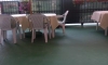 Apartmány FIT, Dobre Vode, Apartmany