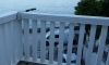 Apartmány Milica, Herceg Novi, Apartmany