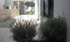 Apartmány Secret Garden, St. Stefan, Apartmany