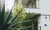 Penzion Djonovic, Petrovac, Apartmany