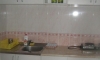 Apartamente BRNOVIC, Buljarica, Apartamente