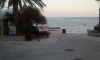 Apartmani Franicevic, Petrovac, Apartmani
