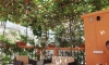Apartmány MEMIDZ, Budva, Apartmany