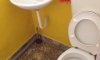 Apartmány a pokoje Vulovic, Kumbor, Apartmany
