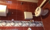Apartmani Vedrana, Sutomore, Apartmani