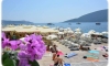 Sunny Skalini - Beachfront Retreat, Herceg Novi, lägenheter