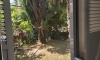 Sutomore centar, Sutomore, Apartmani