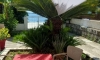 Apartmani Milivoj Dabović, Herceg Novi, Apartamente