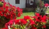 Ekologické osídlení San, Ulcinj, Apartmany