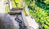 Penzion Buljarica, Buljarica, Apartmany