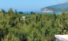 Maginja, Buljarica, Apartments