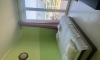 Villa Alsa - apartmani, Petrovac, Apartmani