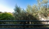Apartmani HOLIDAY 2, Petrovac, Apartamenty