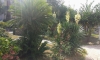 Penzion Djonovic, Petrovac, Apartmany