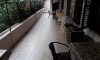 Apartments BRAJEVIC, Herceg Novi, Apartmani