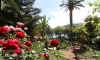 Apartments and rooms Roza, Kumbor, Apartments