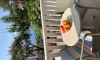 Apartments Milicevic, Herceg Novi, Apartments