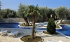 Apartmani Armenko, Buljarica, Apartamenty