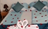 Viola Apartmani, Бар, Apartments