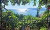Tinina Basta, Sutomore, Apartmani