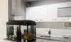 Apartman Rovčanin, Budva, Apartmani