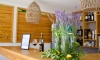 GREJM Family Apartments, Petrovac, Apartamente