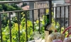 Apartmani Petrovac, Petrovac, Apartamenty